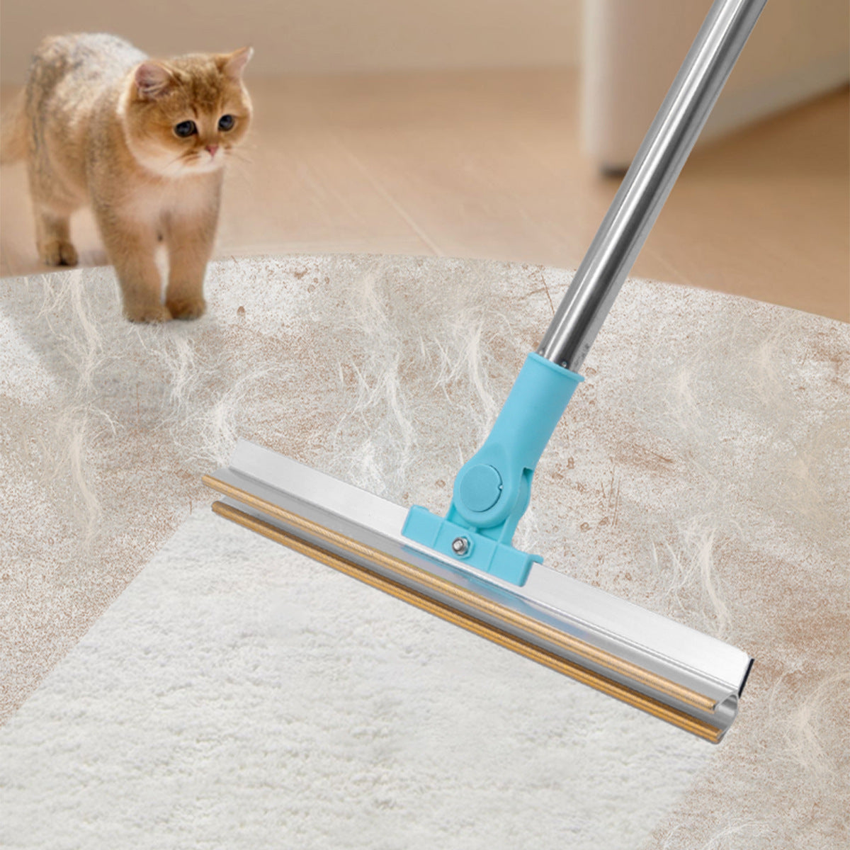 Long Handle Pet Hair Remover and Carpet Scraper