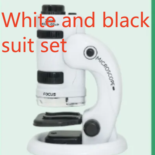 Portable microscope